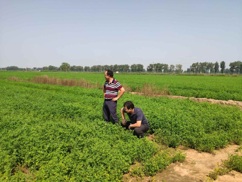 中誠(chéng)草業(yè)主題教育照片1